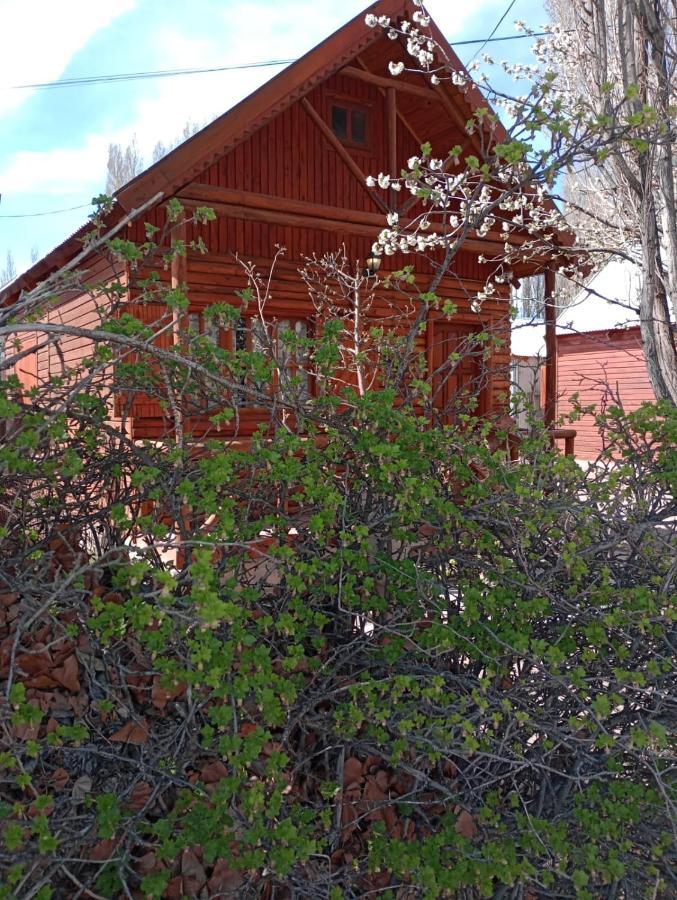 Cabanas Teushen Villa Perito Moreno Exterior photo